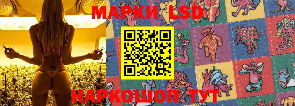Марки N-bome 1500мкг  Вход с VPN  Краснодар 
