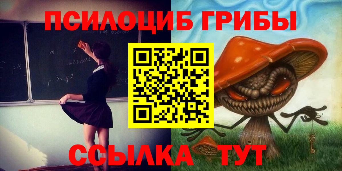 Псилоцибиновые грибы Psilocybine cubensis Краснодар