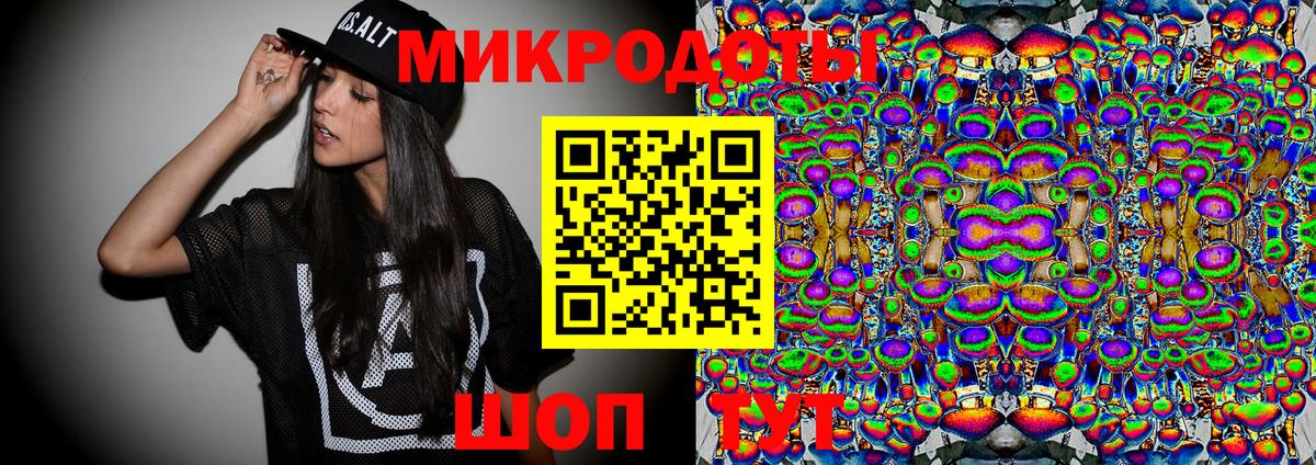 Галлюциногенные грибы Psilocybe Краснодар